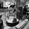 20111227_162015_dscf0242