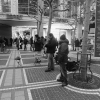 20111227_162426_dscf0253