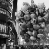 20111227_163817_dscf0267