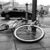 20120122_163112_dscn0117