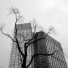 20120122_165318_dscn0139