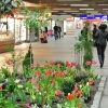 201203-streets-frankfurt_010