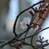 201203-streets-frankfurt_025