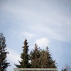 20120417-121457-jla_5350