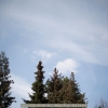20120417-121502-jla_5352