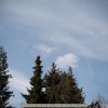 20120417-121509-jla_5356