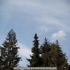 20120417-121533-jla_5358