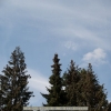 20120417-121539-jla_5360