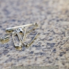 JL_Test_SEL18200_0027