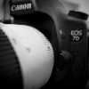 Canon Spardose 05