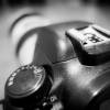 Canon Spardose 07