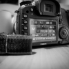 Canon Spardose 08