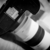 Canon Spardose 10