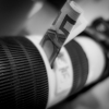 Canon Spardose 13