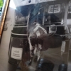 sony_qx10_ooc_09