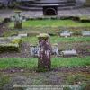 20131230_119_test_a7r