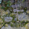 20131230_122_test_a7r