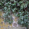 20131230_133_test_a7r