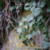 20131230_134_test_a7r