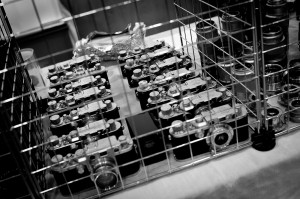 Leitz Leica M hinter Gitter in Solms auf der Fotobörse