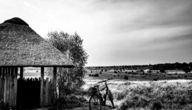 #WeeklyBoys - 32 - Lüneburger Heide